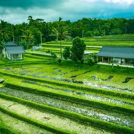 Kubu D'Ume Homestay Jatiluwih Bagian luar foto