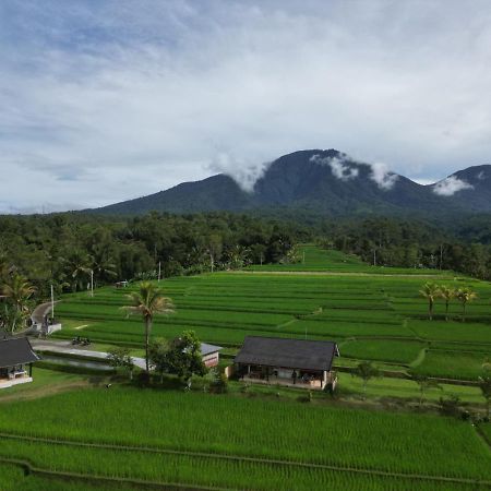Kubu D'Ume Homestay Jatiluwih Bagian luar foto
