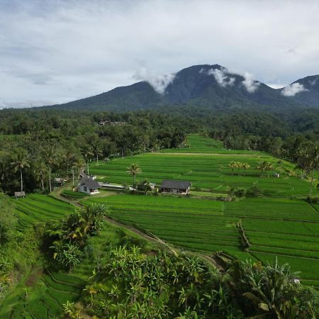 Kubu D'Ume Homestay Jatiluwih Bagian luar foto