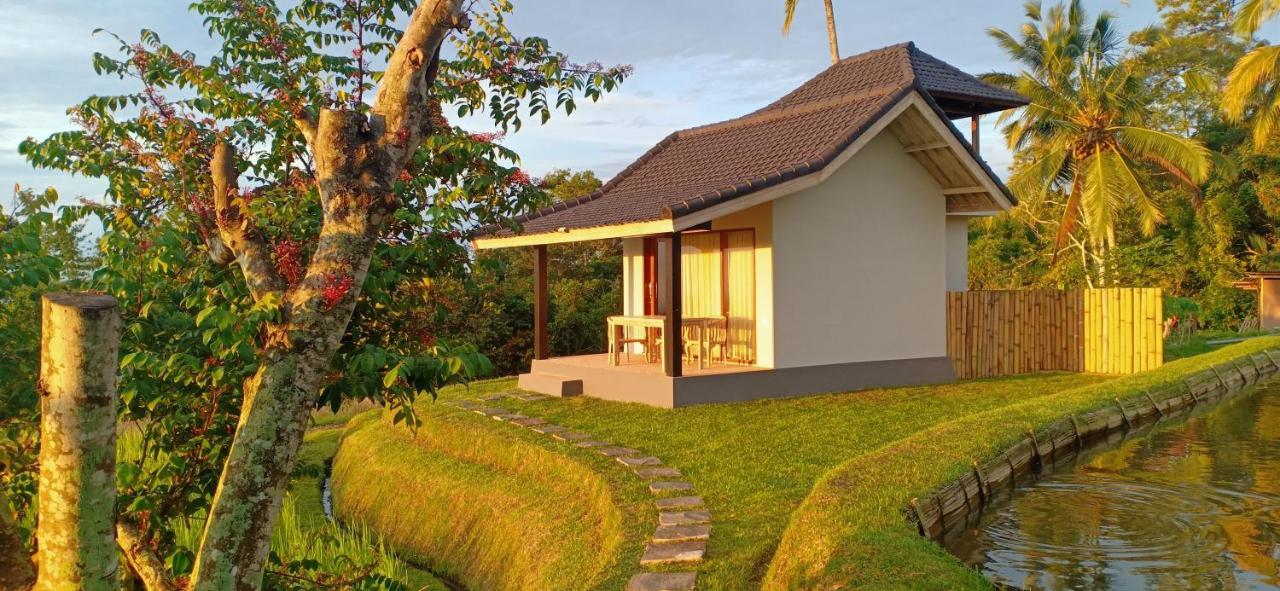 Kubu D'Ume Homestay Jatiluwih Bagian luar foto