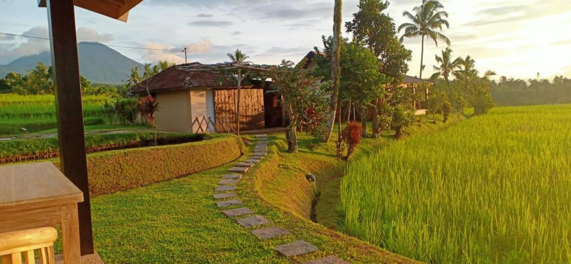 Kubu D'Ume Homestay Jatiluwih Bagian luar foto