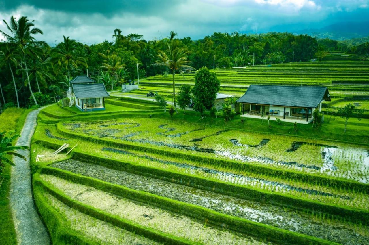 Kubu D'Ume Homestay Jatiluwih Bagian luar foto