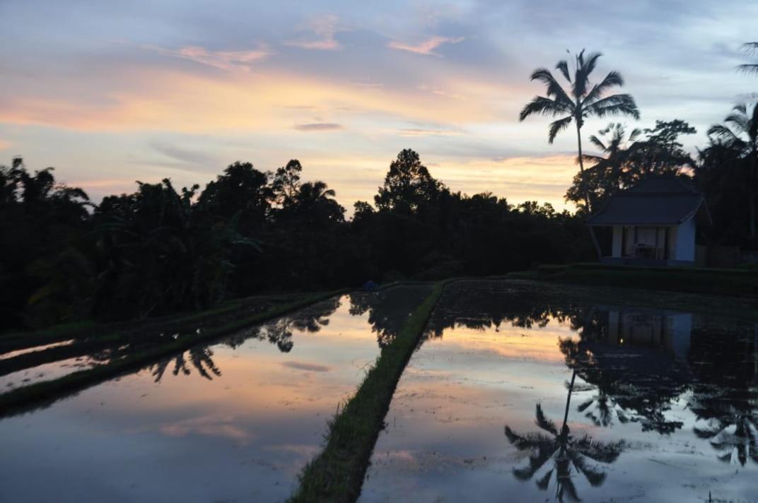 Kubu D'Ume Homestay Jatiluwih Bagian luar foto