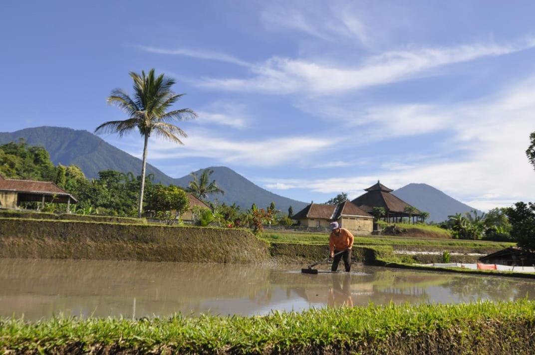 Kubu D'Ume Homestay Jatiluwih Bagian luar foto