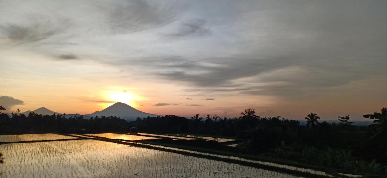 Kubu D'Ume Homestay Jatiluwih Bagian luar foto