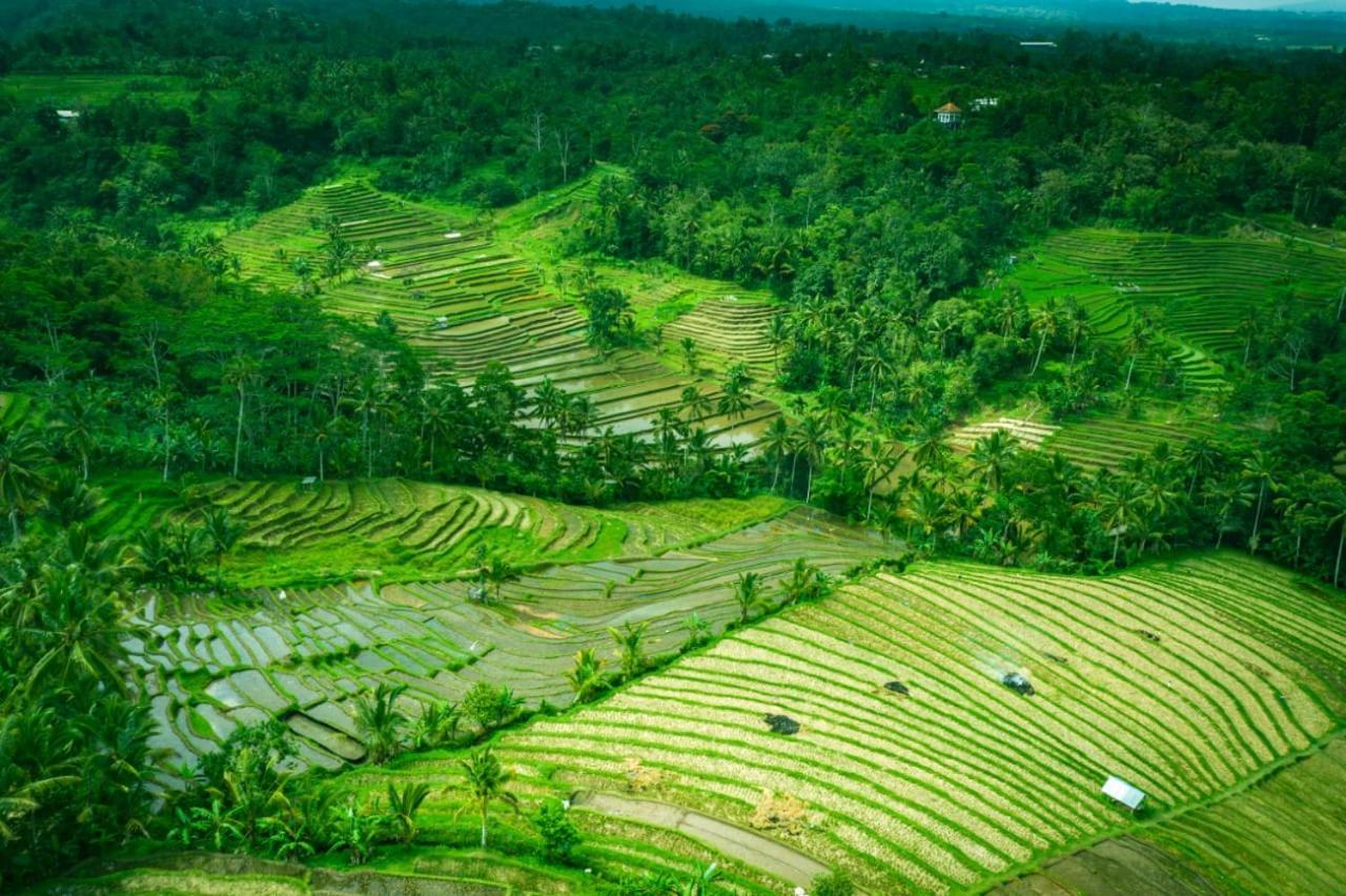Kubu D'Ume Homestay Jatiluwih Bagian luar foto