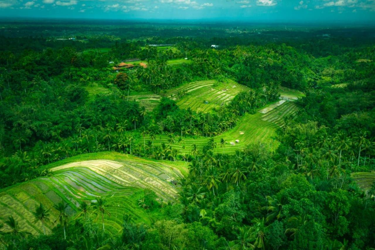 Kubu D'Ume Homestay Jatiluwih Bagian luar foto
