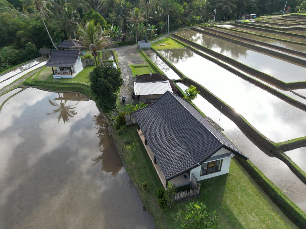 Kubu D'Ume Homestay Jatiluwih Bagian luar foto