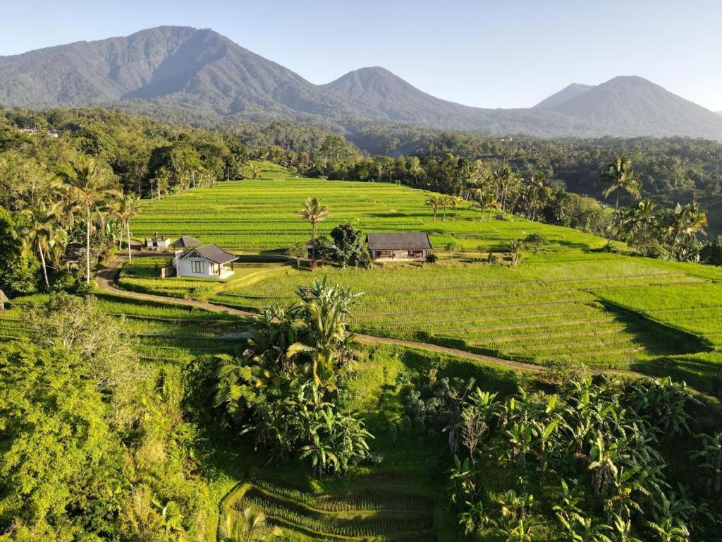 Kubu D'Ume Homestay Jatiluwih Bagian luar foto