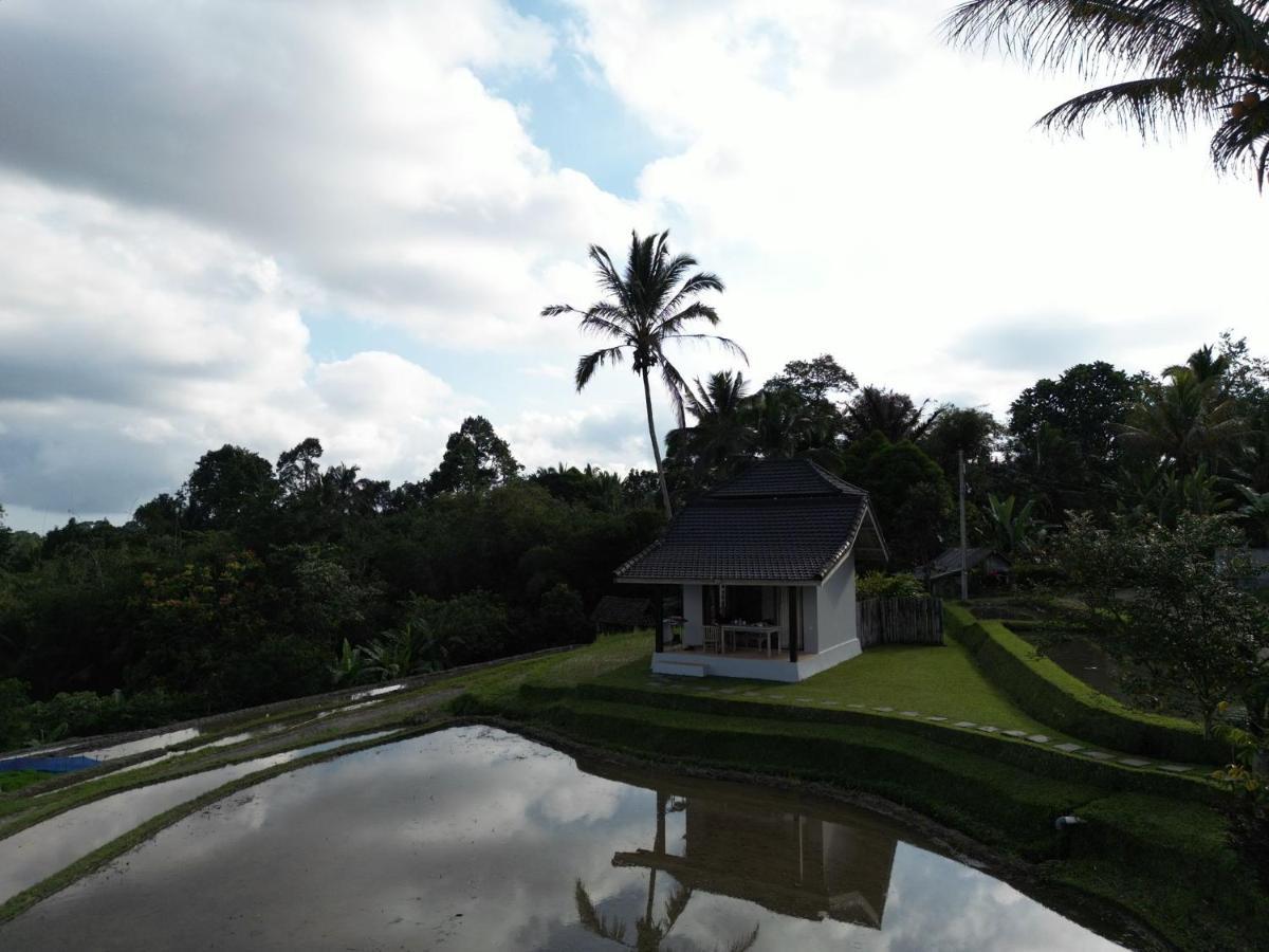 Kubu D'Ume Homestay Jatiluwih Bagian luar foto