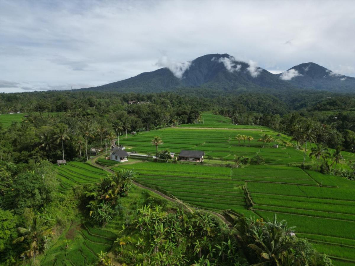 Kubu D'Ume Homestay Jatiluwih Bagian luar foto