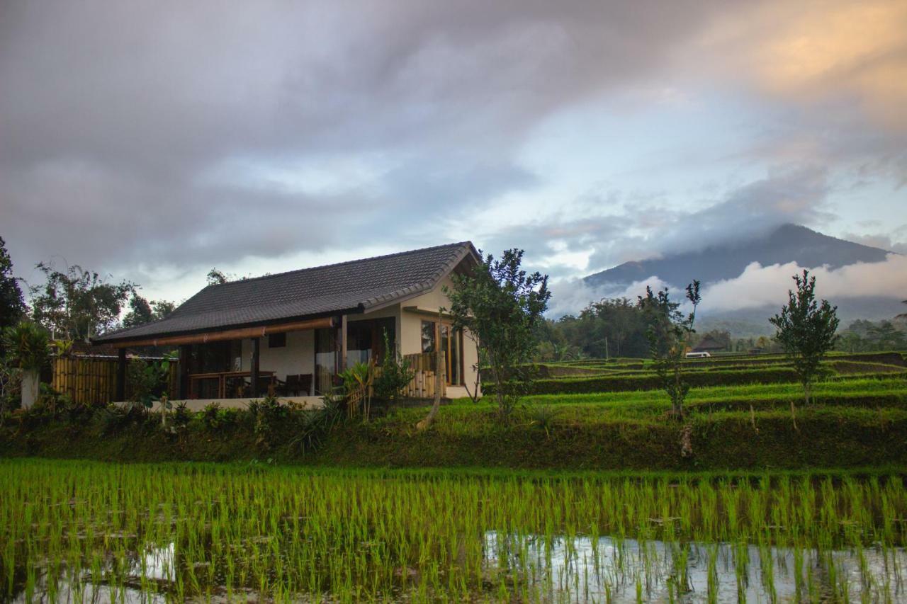 Kubu D'Ume Homestay Jatiluwih Bagian luar foto