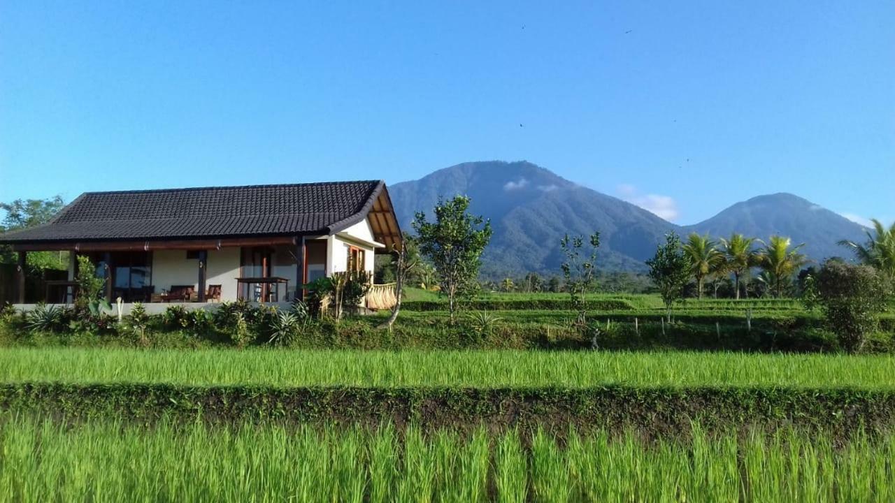 Kubu D'Ume Homestay Jatiluwih Bagian luar foto