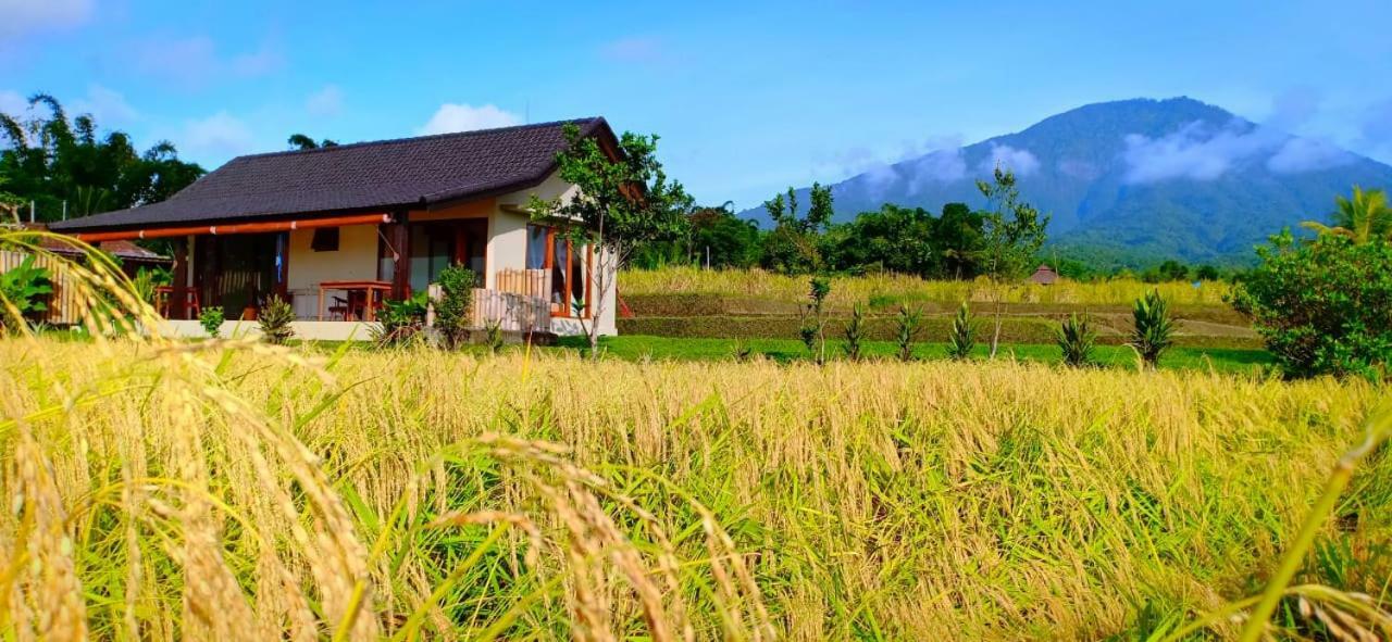 Kubu D'Ume Homestay Jatiluwih Bagian luar foto