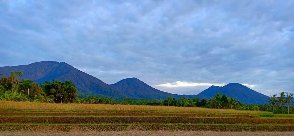 Kubu D'Ume Homestay Jatiluwih Bagian luar foto