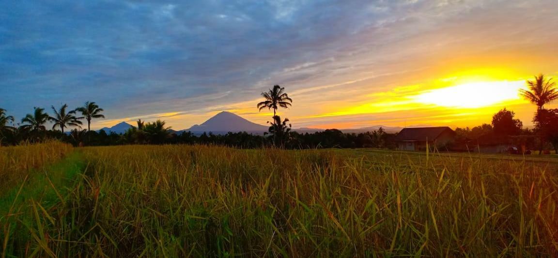 Kubu D'Ume Homestay Jatiluwih Bagian luar foto