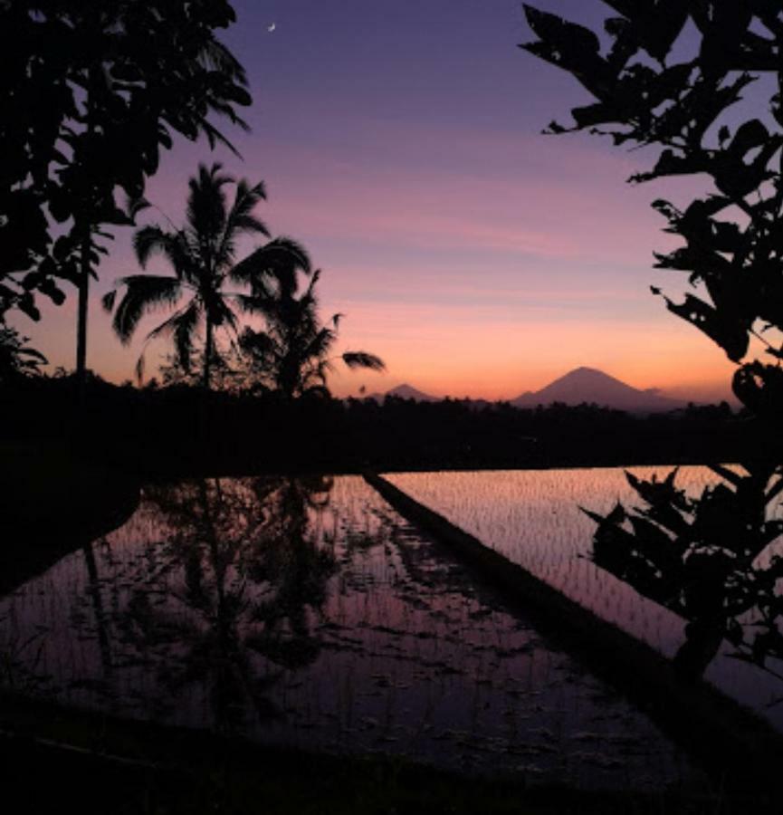 Kubu D'Ume Homestay Jatiluwih Bagian luar foto