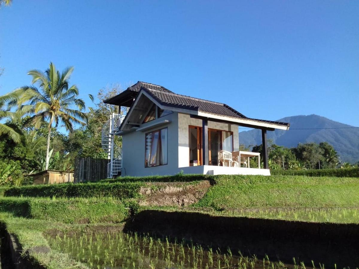 Kubu D'Ume Homestay Jatiluwih Bagian luar foto