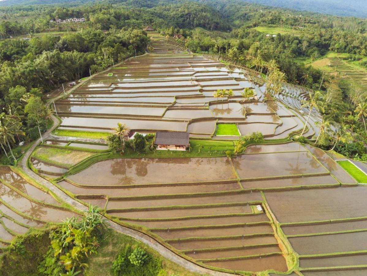 Kubu D'Ume Homestay Jatiluwih Bagian luar foto