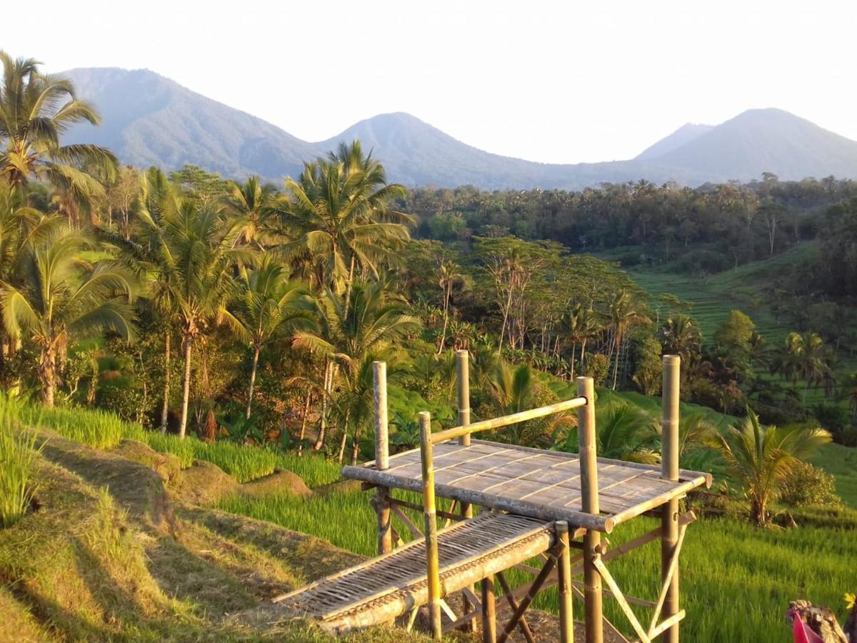 Kubu D'Ume Homestay Jatiluwih Bagian luar foto
