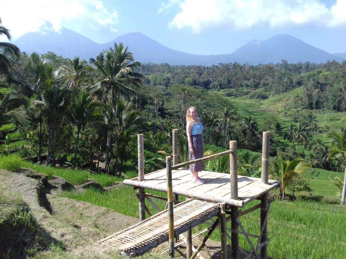 Kubu D'Ume Homestay Jatiluwih Bagian luar foto